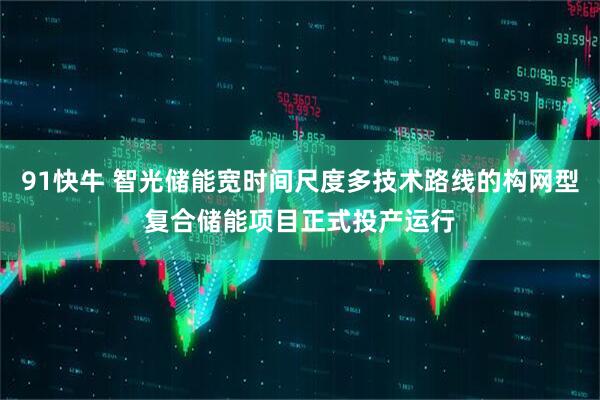 91快牛 智光储能宽时间尺度多技术路线的构网型复合储能项目正式投产运行