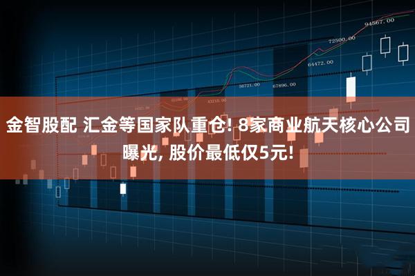 金智股配 汇金等国家队重仓! 8家商业航天核心公司曝光, 股价最低仅5元!
