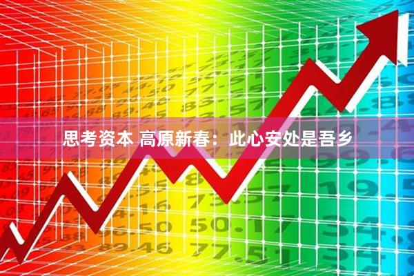 思考资本 高原新春：此心安处是吾乡